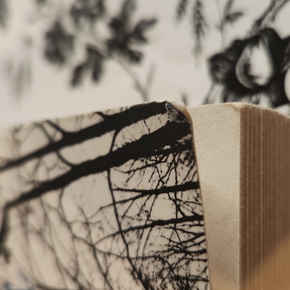 The Bones of you by Debbie Howells m5 - Picture 8 of 8